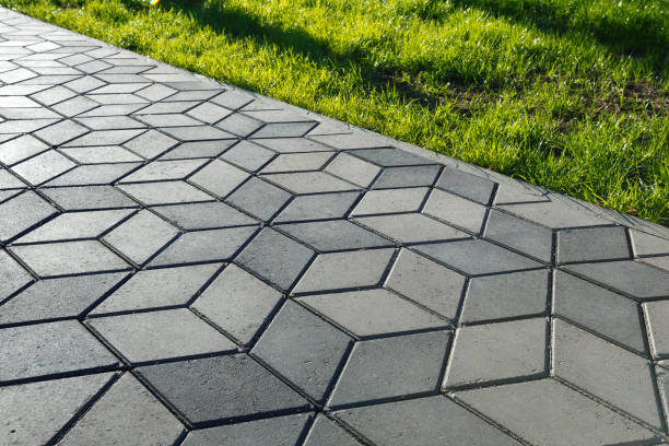 Best Driveway Repair Near Me  in Rockford, MN