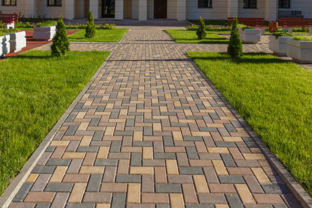 Best Professional Driveway Pavers  in Rockford, MN